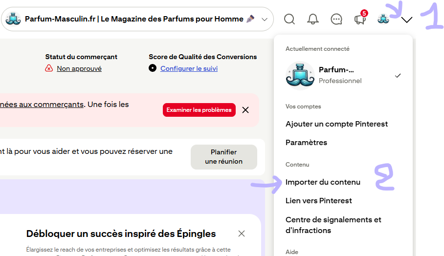 Pinterest menu - Import content option