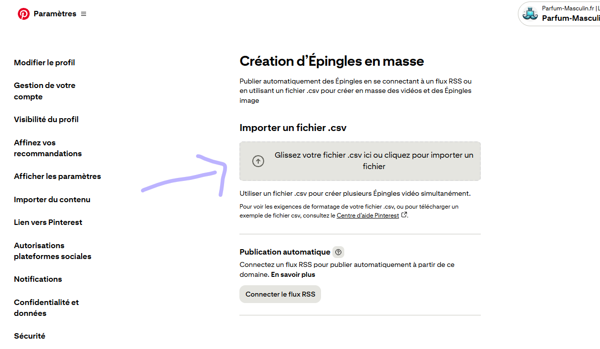 Pinterest Bulk pin creation - CSV upload zone